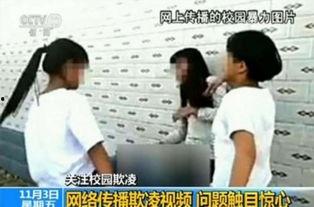 网红爆料校园暴力视频播放,网红爆料引发社会关注